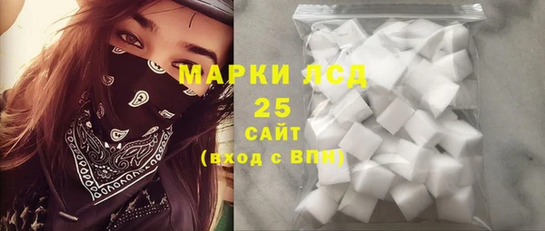 гашик Каменка