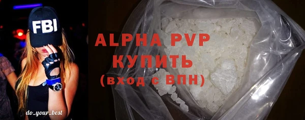 гашик Каменка