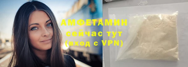 гашик Каменка
