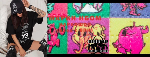 гашик Каменка