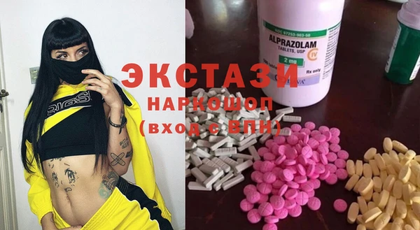 гашик Каменка
