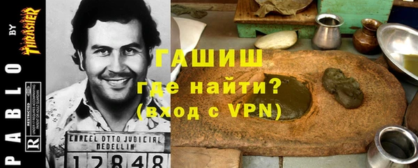 гашик Каменка