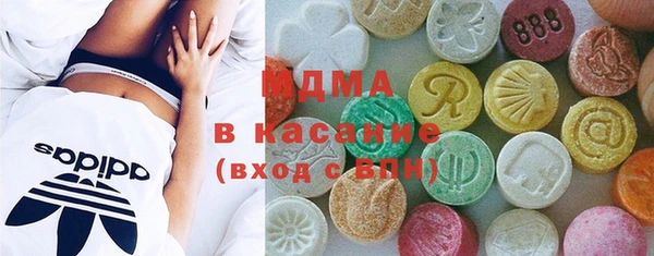 гашик Каменка