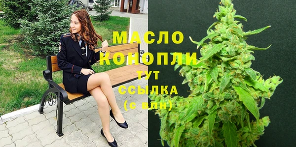 мдпв Инсар