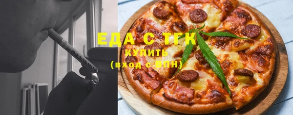 гашик Каменка