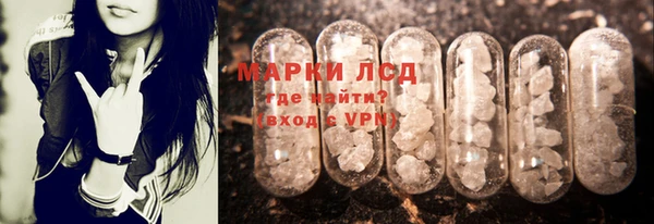 гашик Каменка