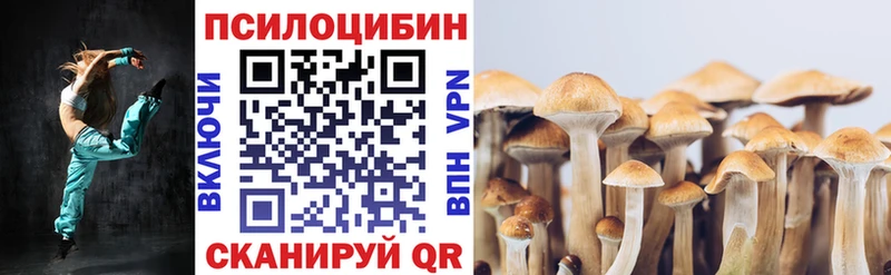 Галлюциногенные грибы мухоморы  мега ТОР  Княгинино 